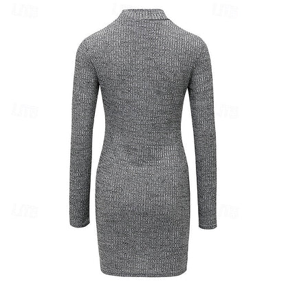 Ribbed Turtleneck Sweater Dress — Long Sleeve Knit 3